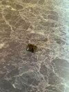 IMG_7424.jpeg
