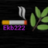 EKB222