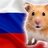 Hamster Kombat