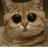Кофеинка
